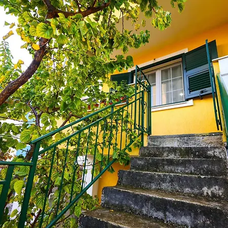 With Garden In The Center Of Appartement