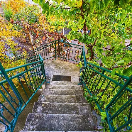Appartement With Garden In The Center Of