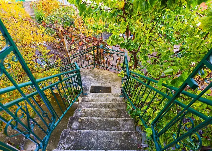 Apartamento With Garden In The Center Of